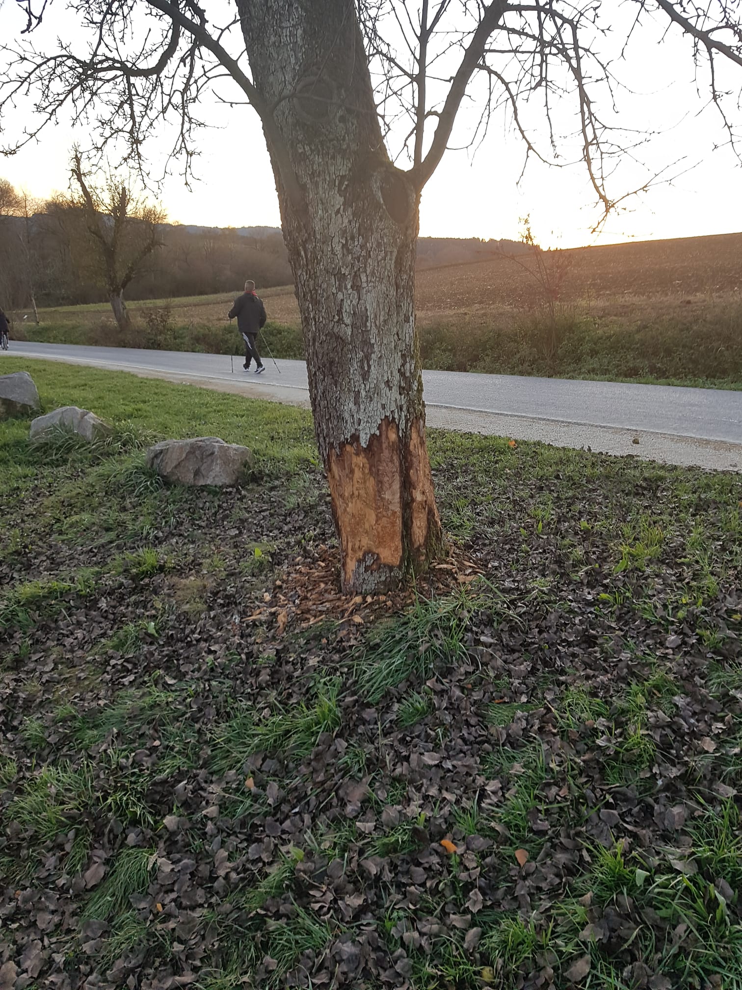 Galeriebild: WhatsApp Image 2022 06 05 at 16.58.18